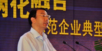 徐愈:促進(jìn)國(guó)產(chǎn)軟件應(yīng)用 推動(dòng)制造業(yè)兩化融合