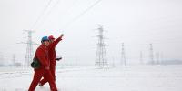 雪中特<font color=