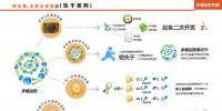 加密軟件應(yīng)用方案之電力