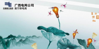 廣西電網(wǎng):<font color=