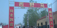 河北魏縣:愛和光伏照亮村莊