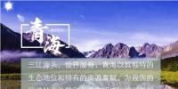 守護(hù)碧水藍(lán)天 國(guó)家電投在“<font color=