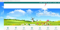 山東電力市場<font color=