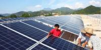 真相大白：光伏真的躺著都能賺錢？
