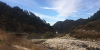安徽岳西國(guó)家級(jí)保護(hù)區(qū)內(nèi):17座小水電站的“拆”“留”之爭(zhēng)