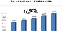 2018-2022年中國(guó)核能發(fā)電行業(yè)<font color=