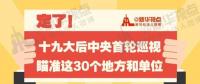 定了！華電集團(tuán)、中核集團(tuán)將接受十九屆中央第一輪巡視