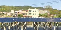 龍川佳派村光伏扶貧電站4個(gè)月售電<font color=