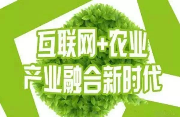 互聯(lián)網(wǎng)+農(nóng)業(yè)，6大創(chuàng)業(yè)方向是…