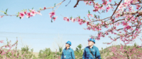 世界一流能源互聯(lián)網(wǎng)企業(yè)怎么建？國網(wǎng)已簽訂39個增量配電試點項目合作意向書
