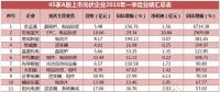 一季度45家光伏企業(yè)業(yè)績榜單登場：超八成飄紅，兩級分化現(xiàn)象嚴重