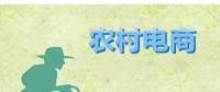 為何農(nóng)村電商這么火？未來(lái)3大看點(diǎn)隱藏千億級(jí)財(cái)富