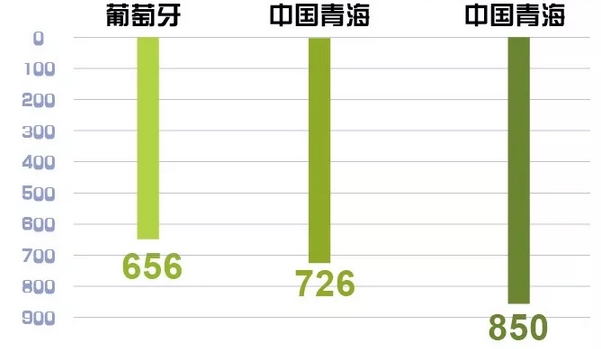 世界罕見｜剛剛 這個省不用火電了！