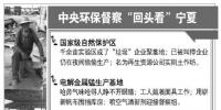 環(huán)保督察回頭看:世界之最與土作坊都在賺<font color=