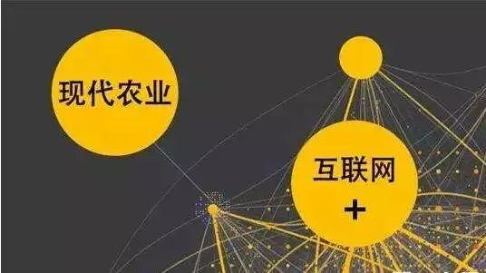 顛覆！裂變！賦能！互聯(lián)網(wǎng)+農(nóng)業(yè)領(lǐng)域的“豬飛起來了”