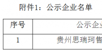貴州公示1家新注冊的售電公司