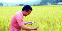 國務(wù)院常務(wù)會(huì)議鼓勵(lì)的“互聯(lián)網(wǎng)+農(nóng)業(yè)”創(chuàng)新<font color=
