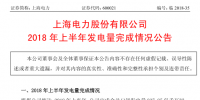 國(guó)家電投旗下<font color=
