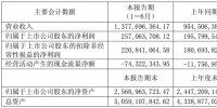 璞泰來上半年凈利2.57億元 負(fù)極材料銷售收入超8.4億元