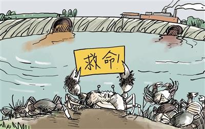 上游污水“毒死”萬畝大閘蟹，誰擔(dān)其責(zé)？