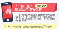 數(shù)據(jù)說話:“一帶一路”國家合作得怎么樣