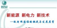 中國電科院:新能源-新電力-<font color=