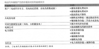 電動(dòng)汽車(chē)儲(chǔ)能,挑戰(zhàn)電網(wǎng)未來(lái)?