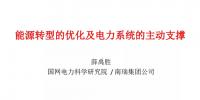 【PPT】中國工程院薛禹勝:能源轉(zhuǎn)型的優(yōu)化及電力系統(tǒng)的主動(dòng)支撐