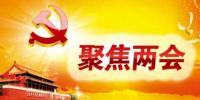 全國“兩會(huì)”中與電價(jià)相關(guān)建議