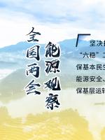讀圖｜2020政府工作報告中這些內(nèi)容，和能源電力有關！